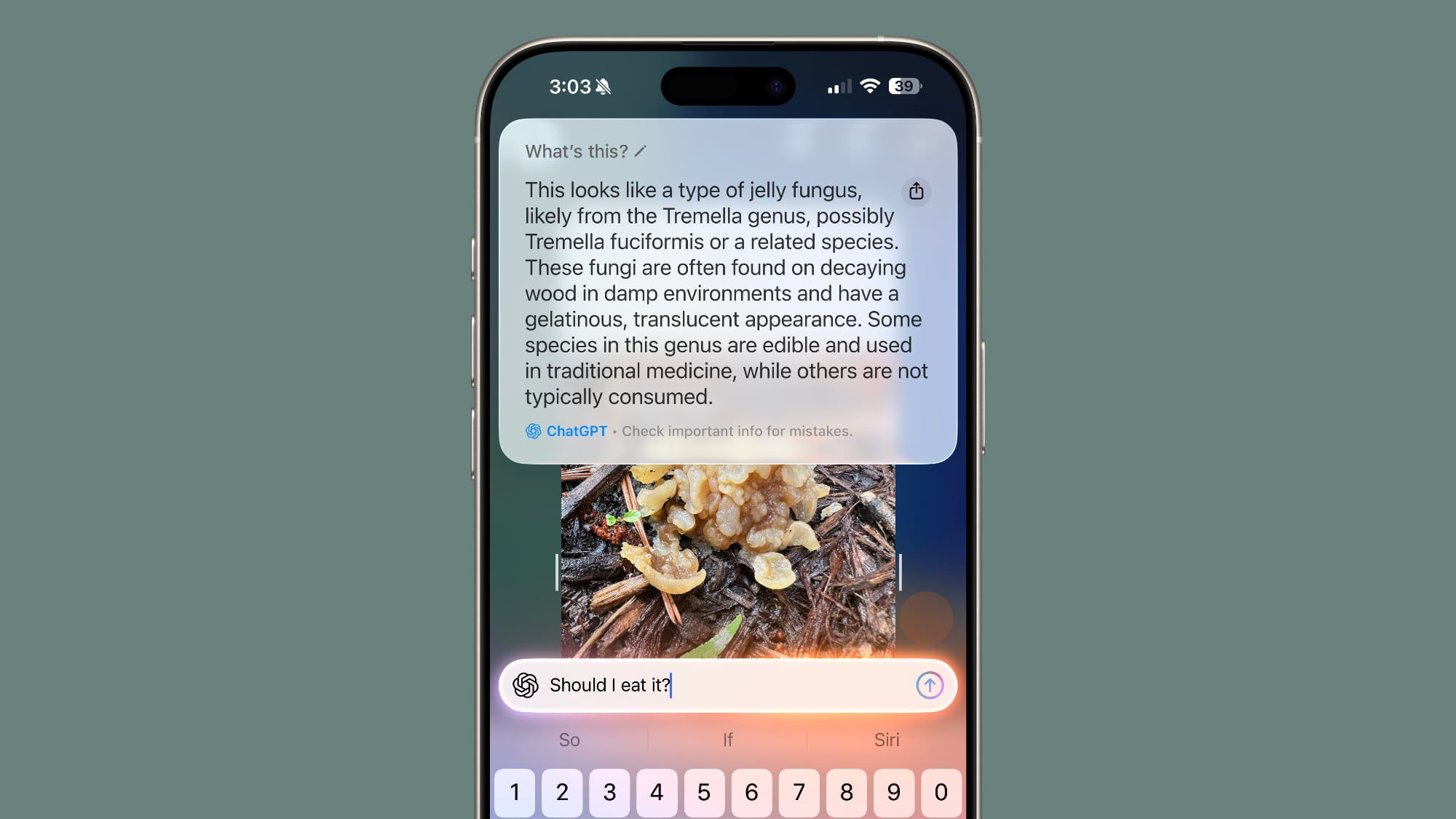 Hirdetések jöhetnek az Apple Visual Intelligence-be